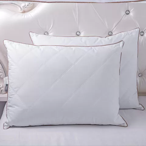 Ten Phenomenal Pillow in Appleton